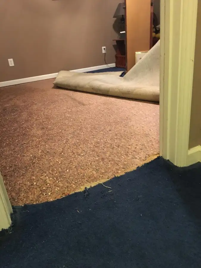 Carpet pad removal revealing water damage during Drying & Dehumidification in Rainsville