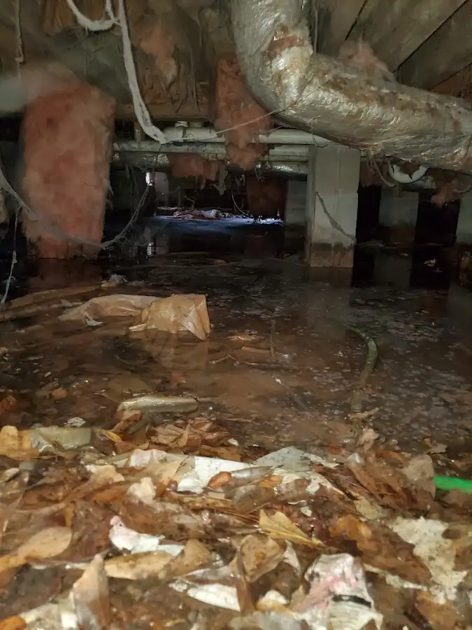 Crawl space flood assessment for Leak Detection & Repair in Rainsville